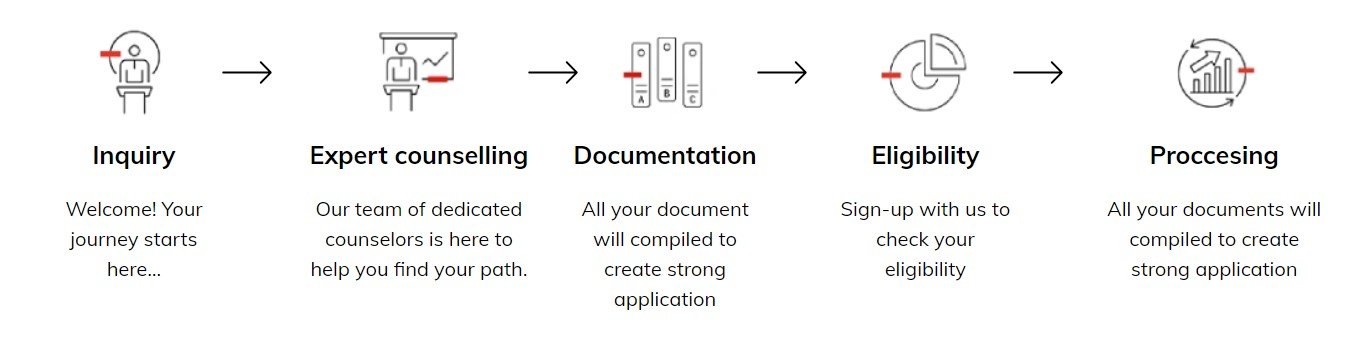 visa process