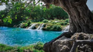 A Dream Journey to the Green Paradise of Salalah!Are you ready to experience the breathtaking beauty of Salalah, a land blessed with lush green mountains, stunning waterfalls, and peaceful beaches? During the magical Khareef Festival season, Salalah transforms into one of the most beautiful travel destinations in the Middle East. Flyworld Tours Oman brings you the best travel packages to explore this natural paradise with comfort and convenience. ✨ Highlights of Your Salalah Trip 🌊 Explore the spectacular waterfalls of Wadi Darbat 🌬 Witness the famous blowholes at Mughsail Beach 🏔 Enjoy the breathtaking mountain views of Jebel Samhan 🕌 Visit sacred historical sites like Nabi Ayoub Tomb 🕌 Discover the beauty of Sultan Qaboos Mosque, museums, and ancient forts Whether you are planning a family vacation, honeymoon trip, weekend getaway, or group tour, Salalah offers unforgettable memories with its cool climate and scenic landscapes. 🌴 Book your Salalah tour today and experience Oman’s most beautiful destination. 📞 Booking & Travel Assistance WhatsApp: https://wa.me/96897707795 Website: www.flyworldtour.com Instagram: @flyworldtoursoman 🔎 Travel Keywords (SEO Boost) Salalah tour package | Oman tourism | Muscat to Salalah trip | Salalah waterfalls | Salalah Khareef tourism | Oman holiday packages | Salalah sightseeing | Oman travel agency #FlyworldToursOman #SalalahTourPackage #VisitSalalah #OmanTourism #SalalahTrip #OmanTravel #KhareefSeason #MuscatToSalalah #TravelOman #DhofarTourism #MiddleEastTravel #FlyworldTours